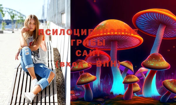 не бодяженный Арсеньев