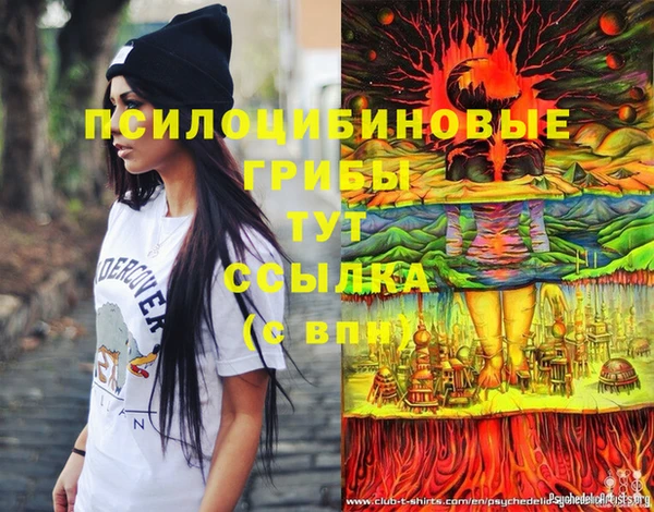 молекула духа Аркадак